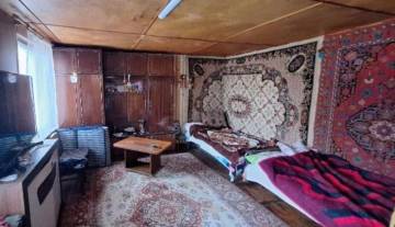 ce0bfb96-2a38-4f98-b70d-b6a776d8bfef Large.jpeg